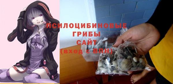 гидра Балахна