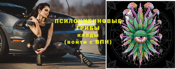 гидра Балахна