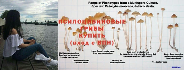 гашиш Баксан