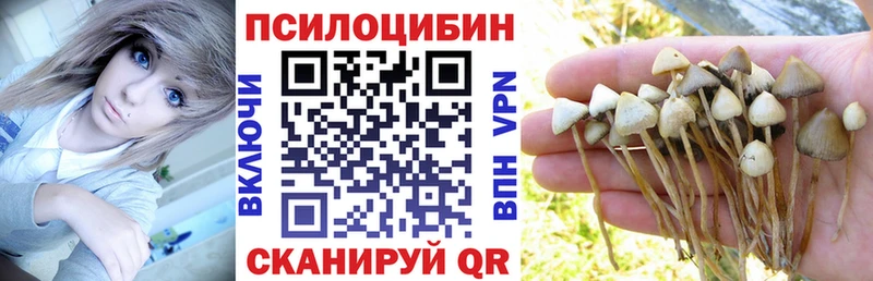 где купить   Саянск  Псилоцибиновые грибы GOLDEN TEACHER 