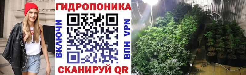 Шишки марихуана OG Kush  Саянск 
